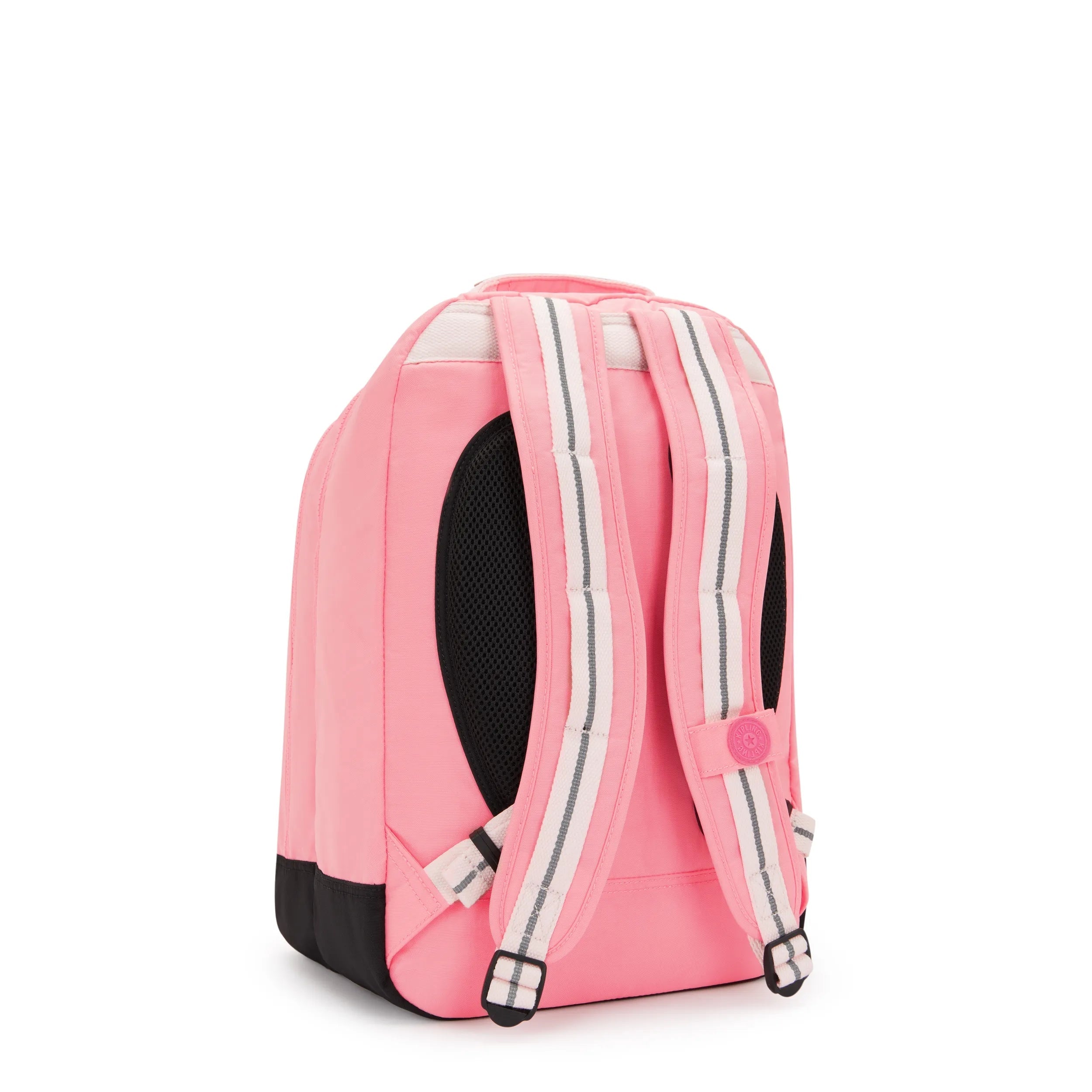 Classroom 17 Laptop Backpack
