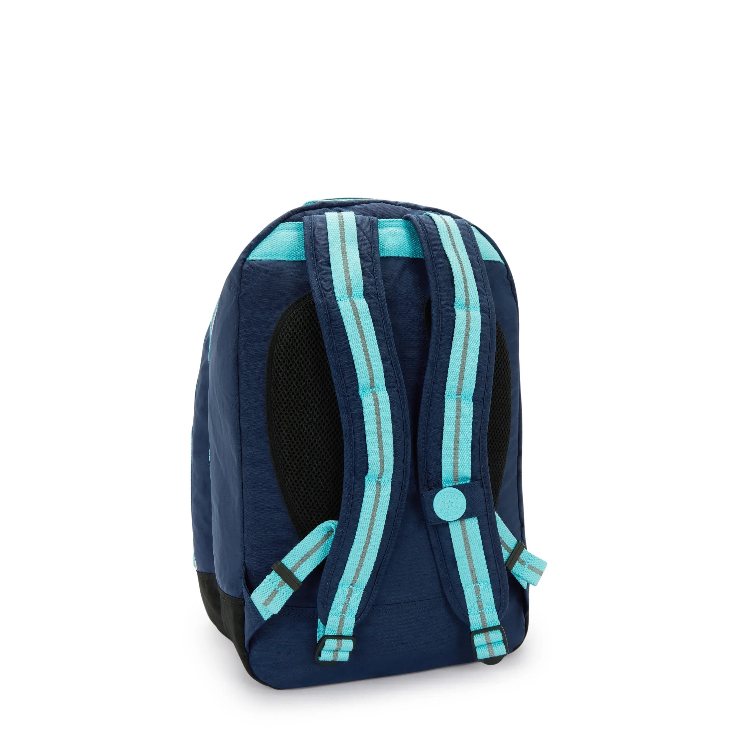 Classroom 17 Laptop Backpack