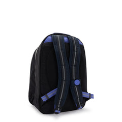 Class Room 17 Laptop Backpack