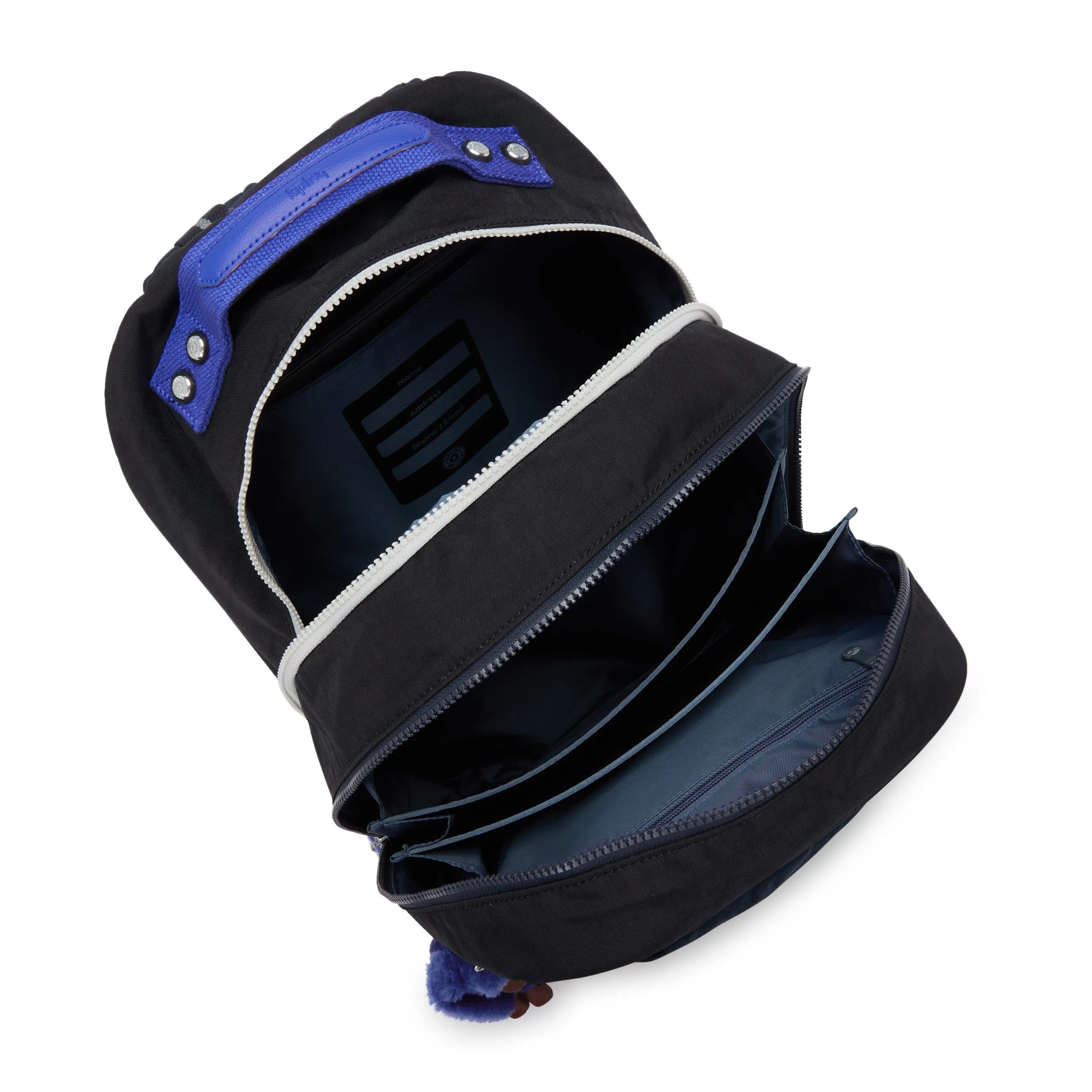 Class Room 17 Laptop Backpack