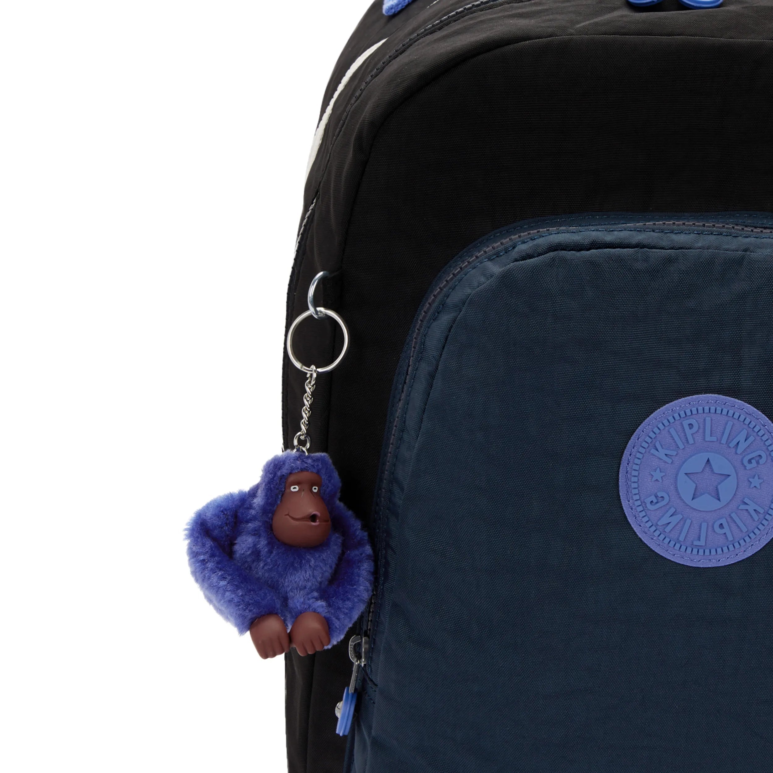 Class Room 17 Laptop Backpack