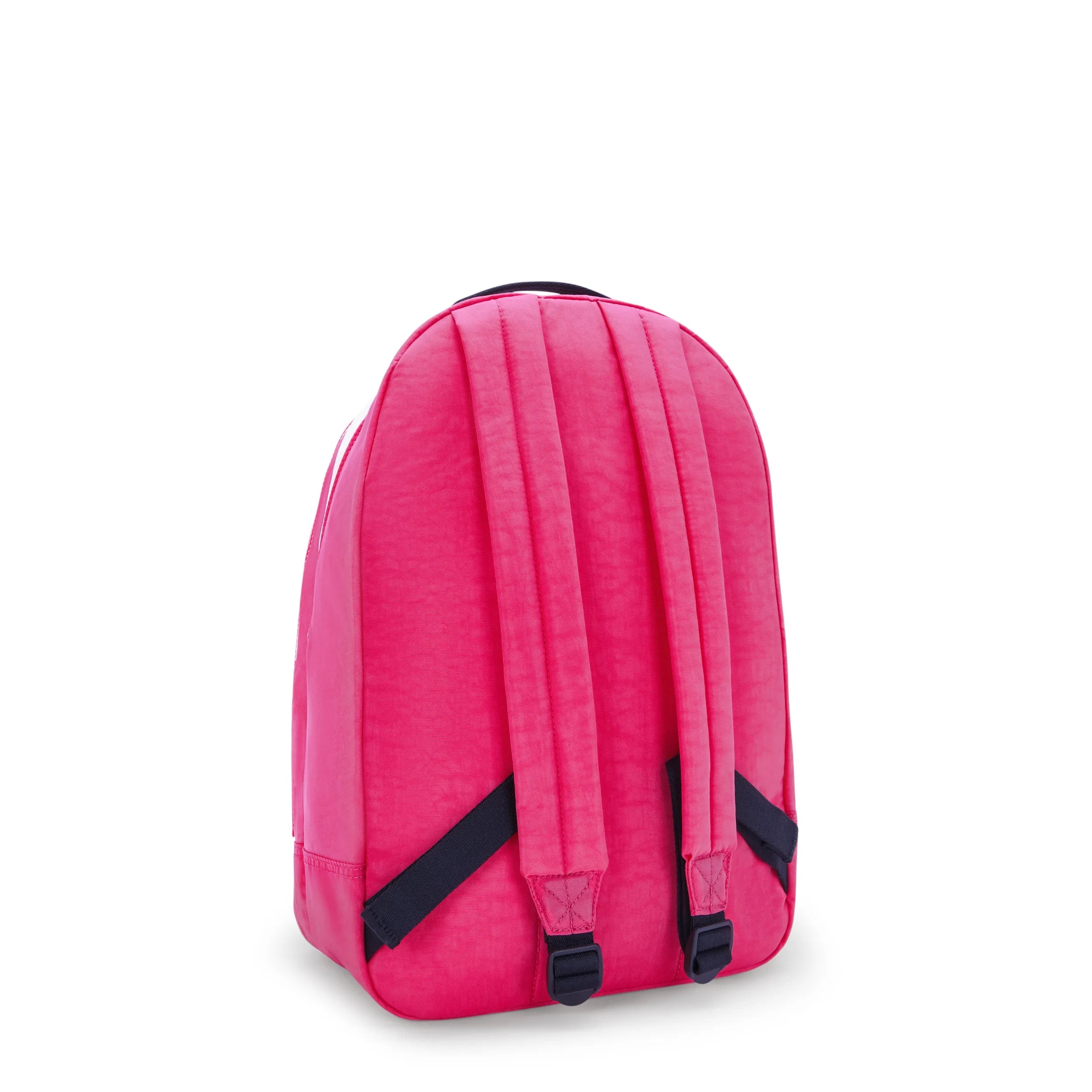 Curtis Extra Large 17 Laptop Backpack